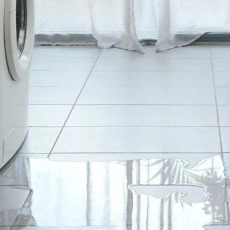 Appliance Leak Cleanup in Riverdale, IL