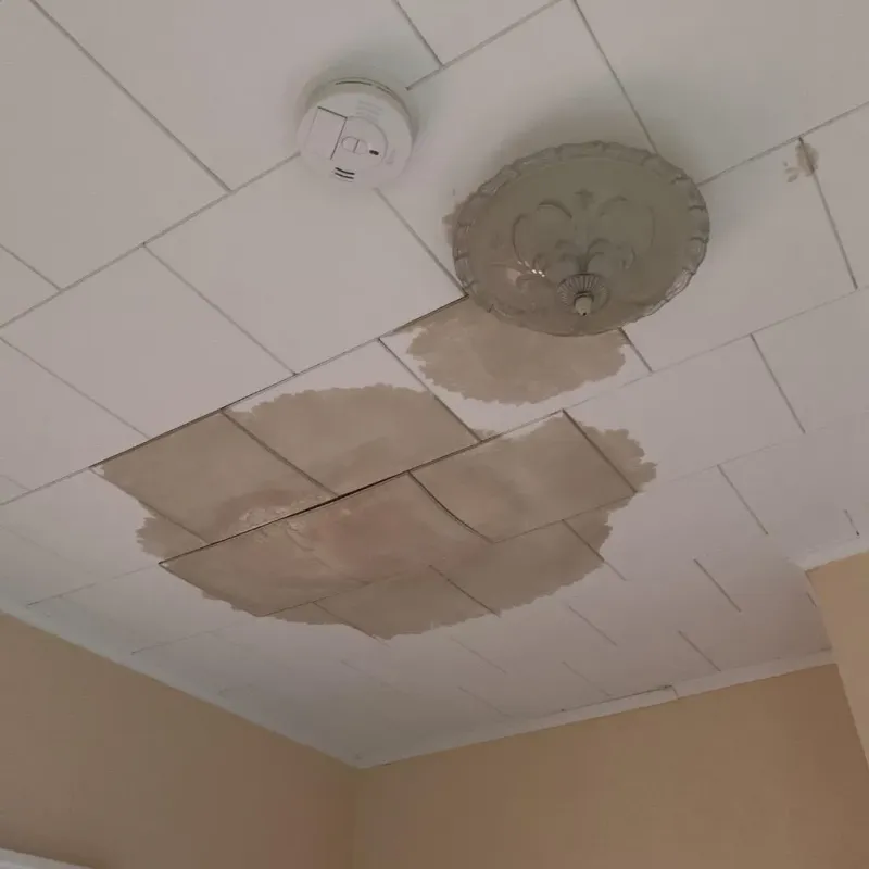 Ceiling Water Damage Repair in Riverdale, IL