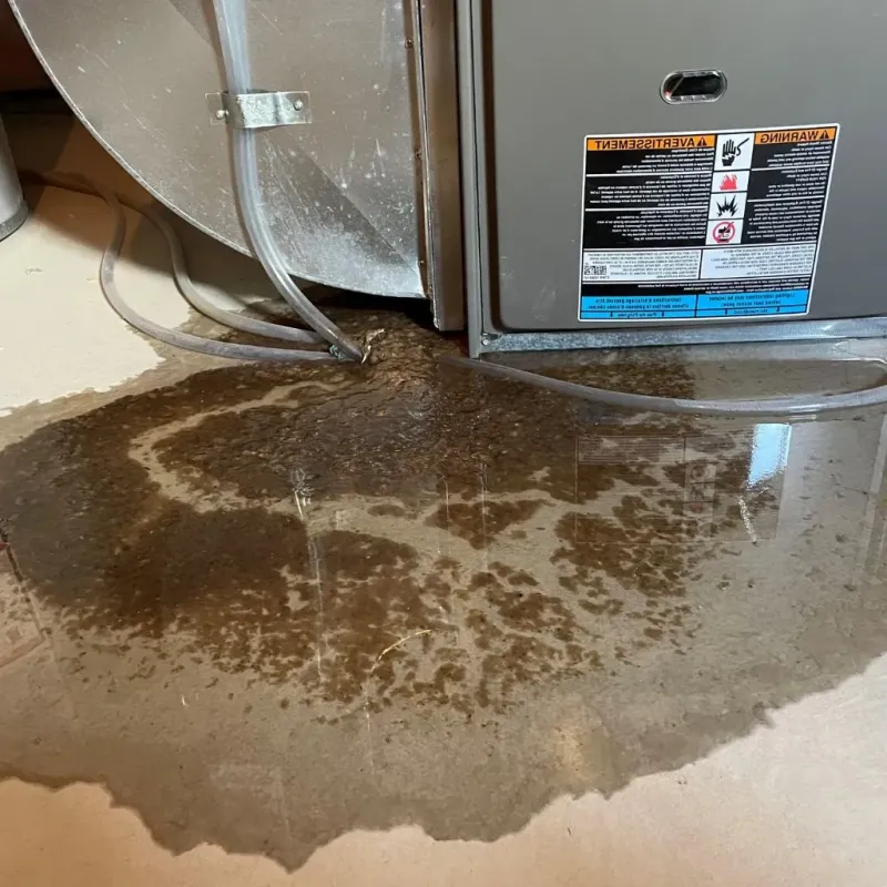 Pipe Burst and Leak Restoration in Riverdale, IL